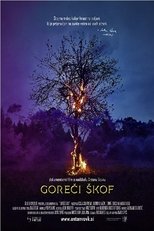 Poster de la película The Burning Bishop