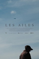 Poster de la película Les ailes