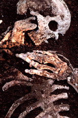 Poster de la película Munashiidake