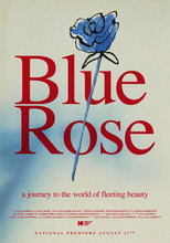 Poster de la película Blue Rose