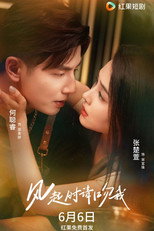 Poster de la serie 风起时请吻我