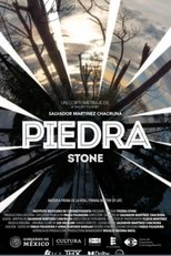 Poster de la película Piedra