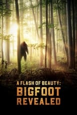 Poster de la película A Flash of Beauty: Bigfoot Revealed