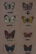 Poster de la película Lekcja anatomii