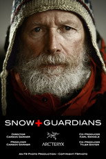 Poster de la película Snow Guardians