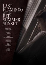 Poster de la película Last Flamingo of the Red Summer Sunset