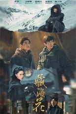 Poster de la serie 藏海花