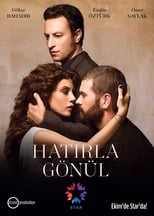 Poster de la serie Gonul