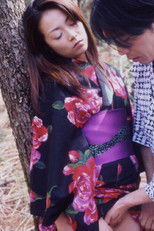 Poster de la película Shufu no Sei: Midara na Yagai Etchi