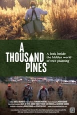 Poster de la película A Thousand Pines