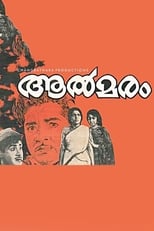 Poster de la película Aalmaram