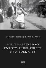 Poster de la película What Happened on Twenty-Third Street, New York City