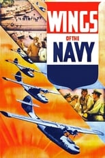 Poster de la película Wings of the Navy