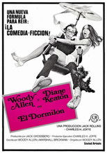 Poster de la película El dormilón