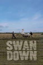 Poster de la película Swandown