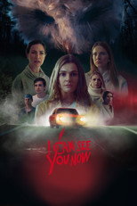 Poster de la película I Can See You Now