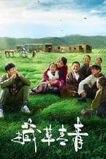 Poster de la película Tibetan Grass