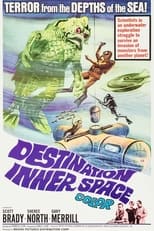 Poster de la película Destination Inner Space