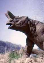 Poster de la película The Age of Mammals