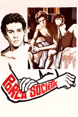 Poster de la película Porca società