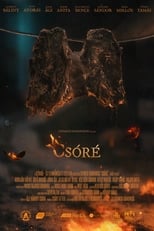 Poster de la película Csóré