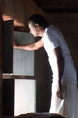 Poster de la película The Cleansing Rites