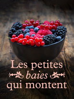 Poster de la película Les petites baies qui montent