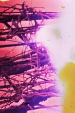 Poster de la película Granular Film - Beirut