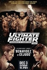Poster de la película The Ultimate Fighter 24 Finale