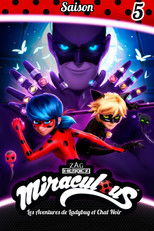 Miraculous, les aventures de Ladybug et Chat Noir