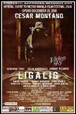 Poster de la película Ligalig