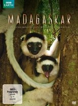 Madagascar, le monde perdu