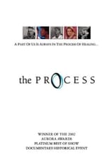 Poster de la película The Process