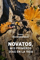 Poster de la película Novatos, mis primeros días en la vida