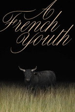 Poster de la película A French Youth