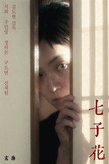 Poster de la película MIDORI