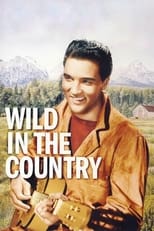 Poster de la película Wild in the Country