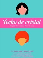 Poster de la película Crystal Ceiling