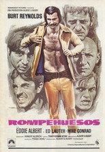 Poster de la película Rompehuesos