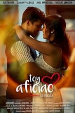 Poster de la película Toy Aficiao