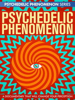Poster de la película Psychedelic Experiences