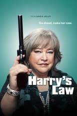Poster de la serie Harry's Law