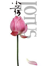 Poster de la película Lotus
