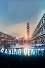 Poster de la película Saving Venice