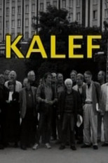 Poster de la película Kalef - A Moszkva téri galeri