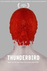 Poster de la película Thunderbird