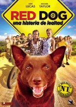 Poster de la película Red Dog, una historia de lealtad