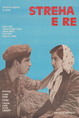 Poster de la película The New Shelter