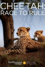 Poster de la película Cheetah: Race to Rule