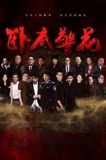 Poster de la serie 卧底警花